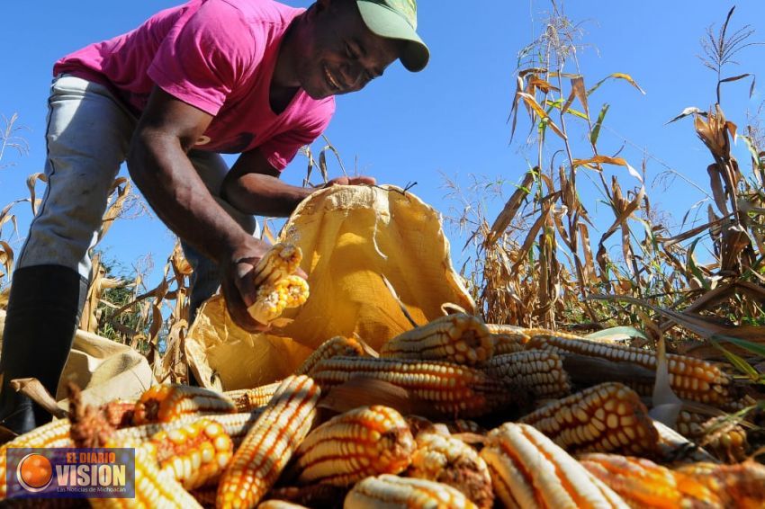 Abierta convocatoria para Agricultura por Contrato