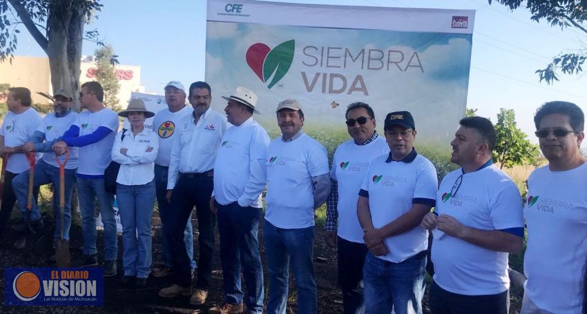 CFE beneficia al medio ambiente con la reforestación de 13 mil árboles 