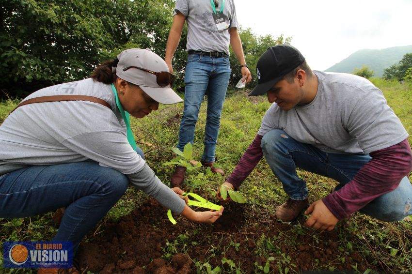 Con éxito, campaña de reforestación ‘Yo adopto un árbol por amor a La Huacana’