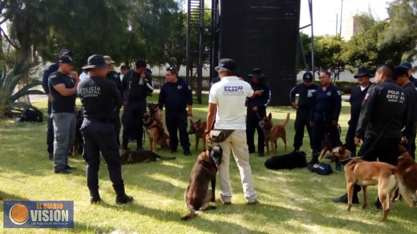 Imparte IEESSPP curso de especialización a binomios Caninos de  la Policía Estatal de Querétaro