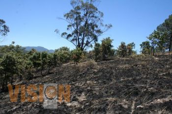 Coordinación interinstitucional en el combate a incendios: COFOM