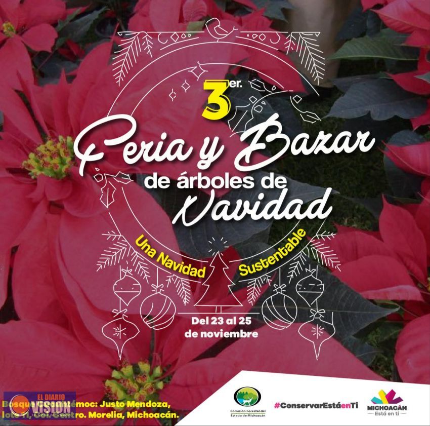 Michoacán, 4º lugar nacional, en producción de árboles de Navidad