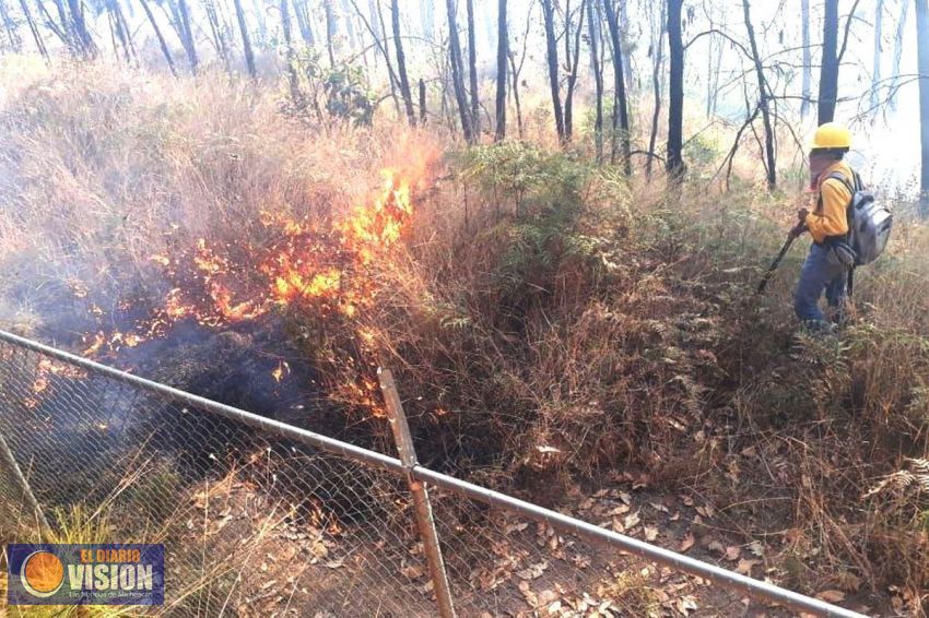 Atiende PC estatal, incendios forestales en Uruapan