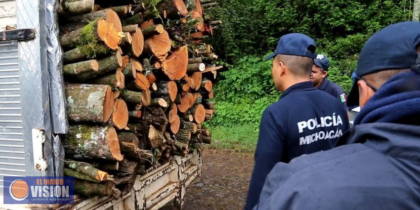 Continúa SSP acciones operativas para preservar los bosques michoacanos