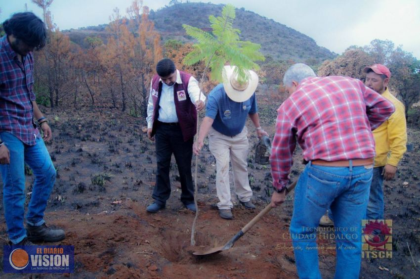 Tecnológico de Ciudad Hidalgo realiza su primera reforestación 