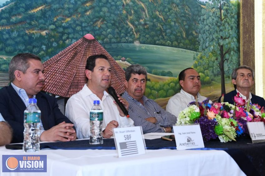  Buscan consolidar producción y comercialización de berries en Michoacán