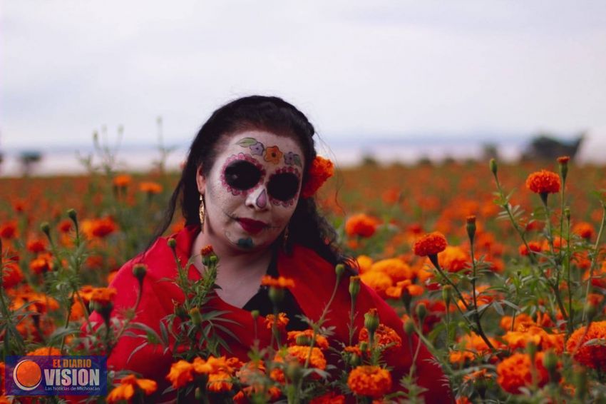 Copándaro líder producir de la Flor de los muertos, cempasúchil