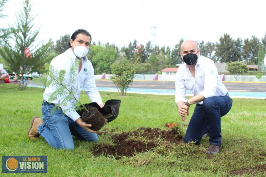 Mediante un video, SEE y COFOM explican como plantar un árbol