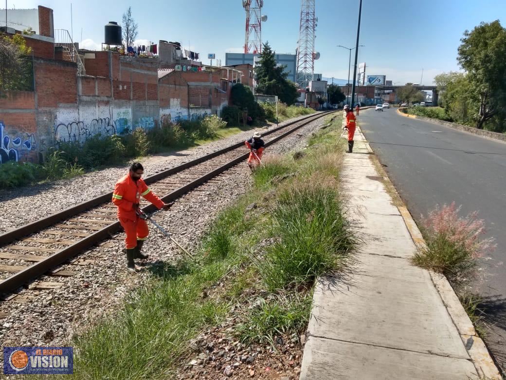 Emprende Gobierno Municipal jornada de limpieza en vialidad del Río Grande 