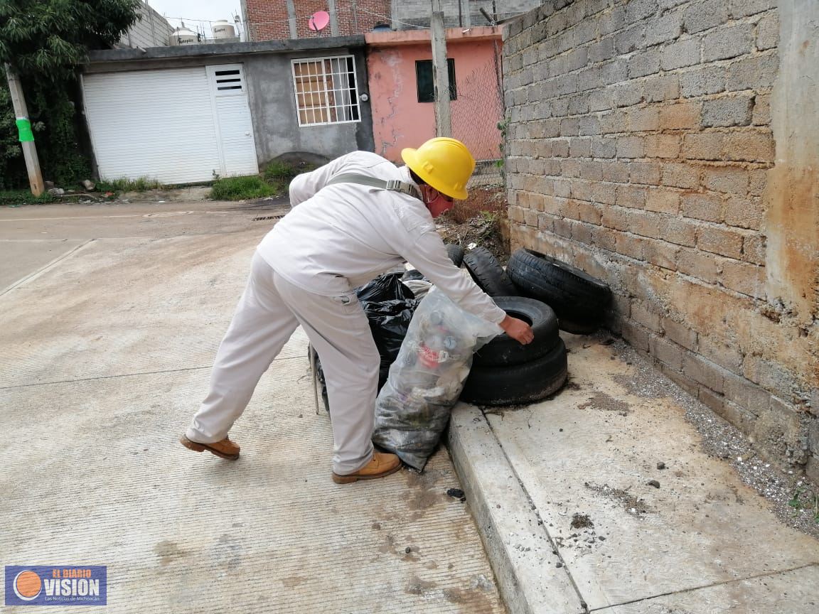 Michoacán, sin casos de zika y chikungunya