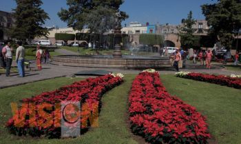 Adornarán más de 8 mil nochebuenas Plazas y camellones de Morelia  