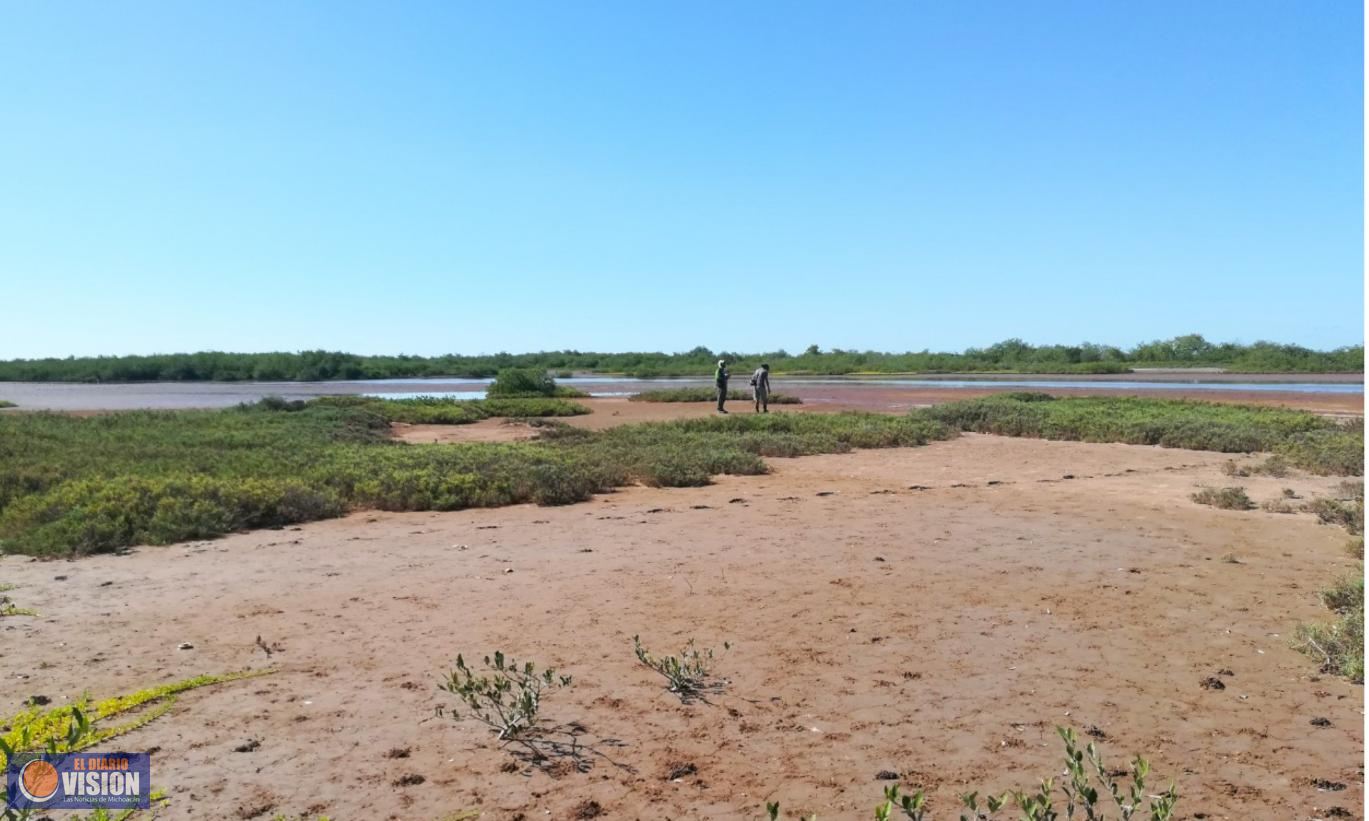 Covid-19, resultado extremo de la explotación de la naturaleza por los humanos: SCME