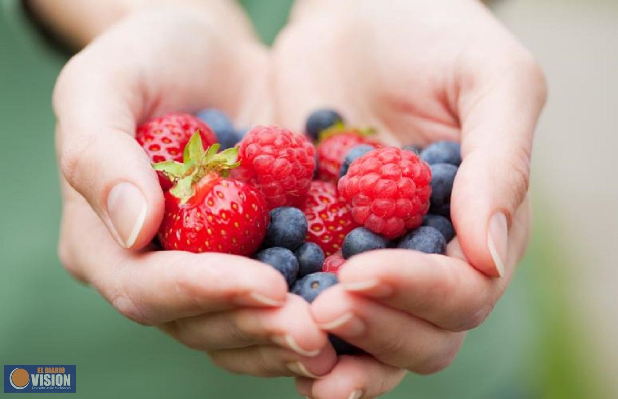 Berries, frutillas, frutos rojos, bayas mexicanas… entre lo común y lo biológico