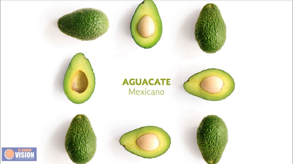 Nuestro “Oro Verde”: El Aguacate