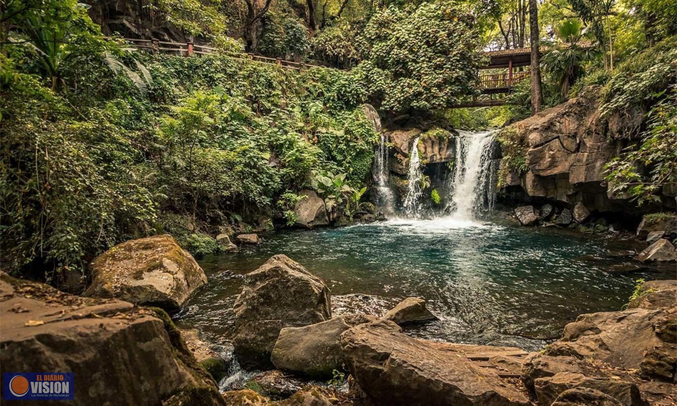 Parque Nacional Barranca del Cupatitzio, Un maravilloso pulmón vegetal en plena ciudad