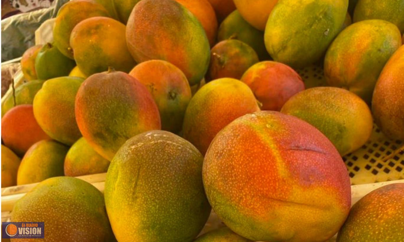 833 Mdp Valor de la Producción del Mango en Michoacán