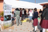 La salud de  estudiantes vigilada por la Sección XVIII 