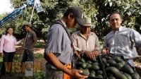 Visitando a los agricultores