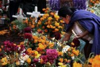 flores tradicionales 