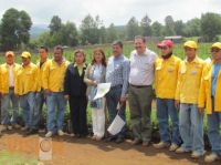 banderazo de planta de árboles 