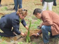 Ocampo se beneficia con planta