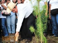 1 - Leonel Godoy Rangel trabajos de reforestación