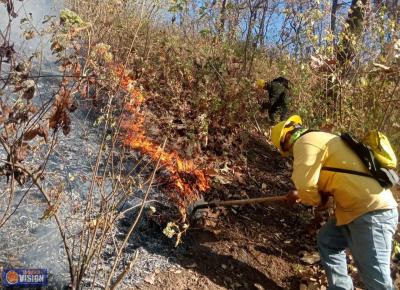 Atienden brigadas nuevo incendio forestal en cerro del Quinceo