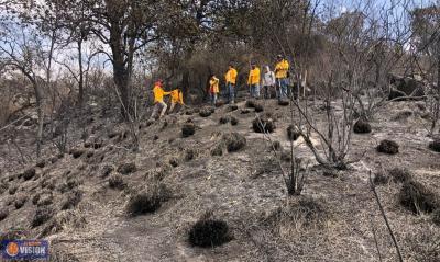 Respuesta efectiva ante incendios en Zacapu por la coordinación de Protección Civil