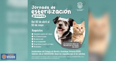 Gobierno de Morelia invita a Jornada de esterilización para mascotas