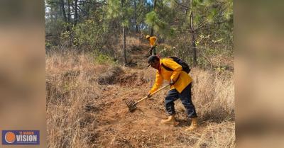 Combatientes apagan incendio forestal en Chinicuila y controlan 5 más