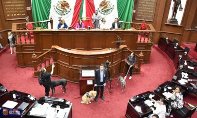 Congreso de Michoacán aprueba regulación para el uso de pirotecnia