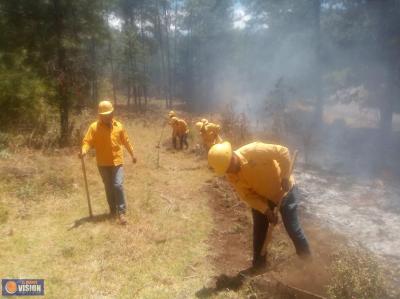 Brigadistas apagan incendio forestal en Madero y controlan 2 en Los Reyes y Ario