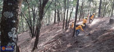 Brigadistas atienden 2 incendios forestales en Coalcomán-Chinicuila y Erongarícuaro