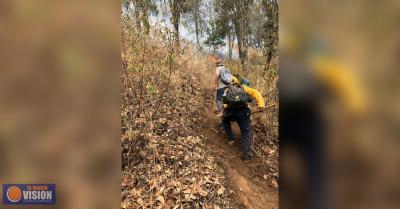 Controlados los incendios forestales en Pátzcuaro y Reserva de la Monarca