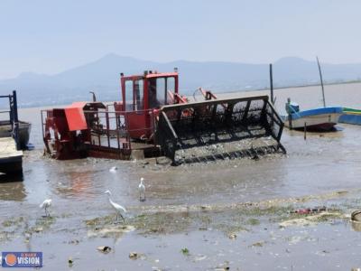 Así avanzan los trabajos para rescatar el Lago de Pátzcuaro