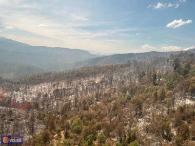 Con ayuda de helicóptero con helibalde apagan incendio forestal en Queréndaro