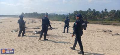 Guardia Civil protege arribo de tortugas marinas en Aquila