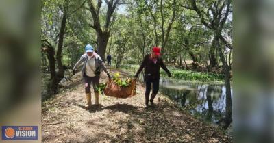 Empleo temporal beneficia a más 800 personas del lago de Pátzcuaro