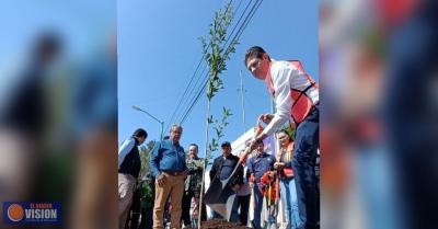 Alfonso Martínez invita a plantar arbolitos en banquetas