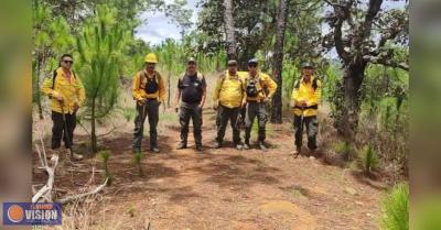 Brigadistas municipales realizan labores de restauración en el cerro de la Charanda