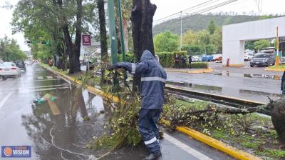 El Gobierno de Morelia ha retirado más de 60 toneladas de residuos en las últimas 36 horas