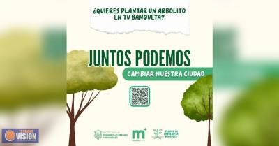 Gobierno de Morelia pone el árbol y tú elige la banqueta