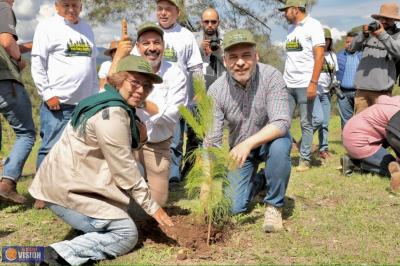 Arrancó reforestación simultánea en 12 municipios de Michoacán