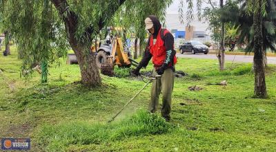 Ayuntamiento de Morelia y vecinos limpian camellones y avenidas