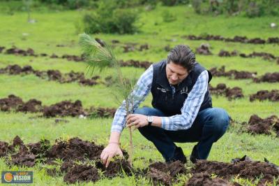 Gobierno Morelia, cerca de plantar 1 millón de árboles