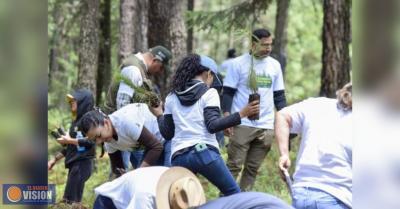 Inicia plantación de 2 mil árboles en área protegida