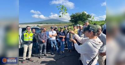 Plantan mil árboles en Área Natural Protegida de La Piedad