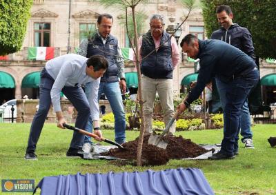 Alfonso Martínez planta el árbol 