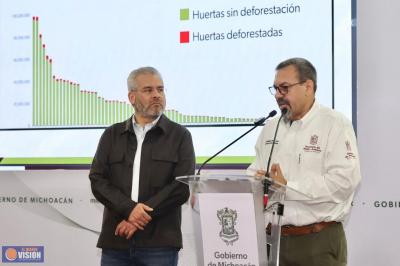 Se envió a empaques de aguacate, lista de huertas que incurrieron en deforestación: Bedolla