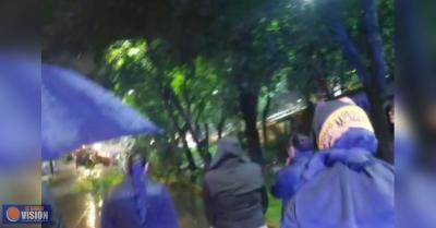 Morelia se levanta por sus árboles..!